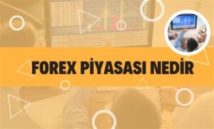 Forex Piyasasına Derinlemesine Bir Bakış